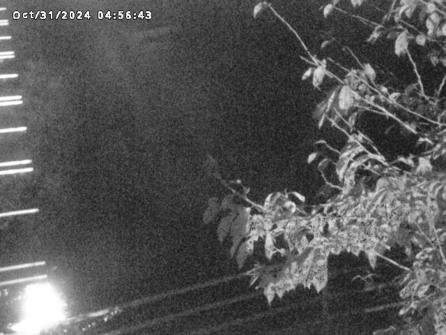 小松谷川22025/10/31 08:00