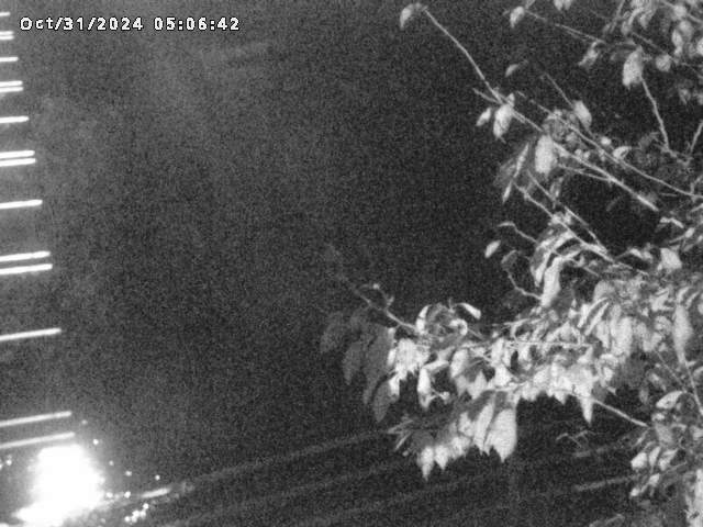 小松谷川22025/10/31 08:00