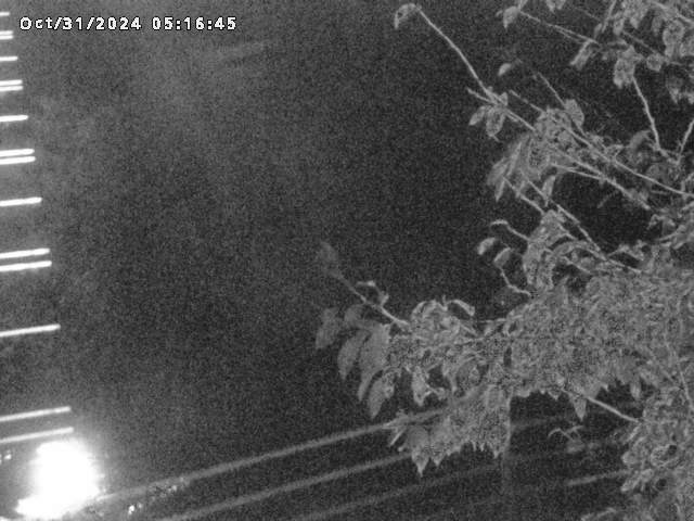 小松谷川22025/10/31 08:00