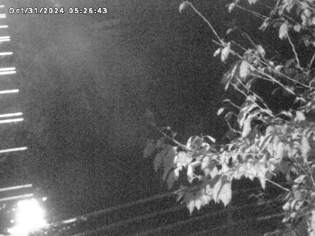 小松谷川22025/10/31 08:00