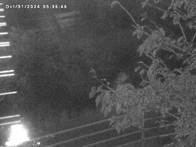 小松谷川22025/10/31 08:00