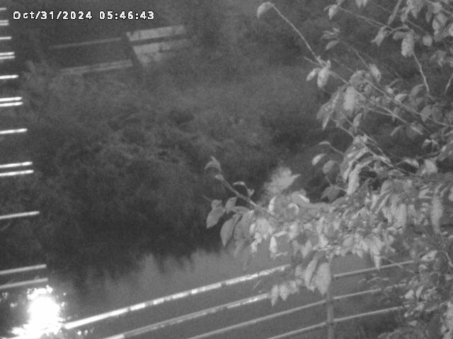 小松谷川22025/10/31 08:00