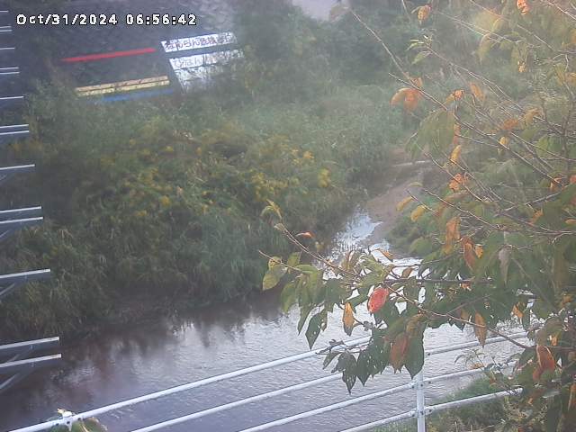 小松谷川22025/10/31 08:00