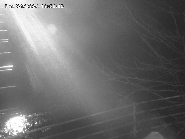 小松谷川２2025/12/22 1:00:00