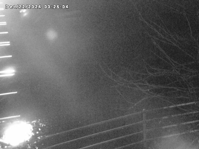 小松谷川２2025/12/22 1:00:00