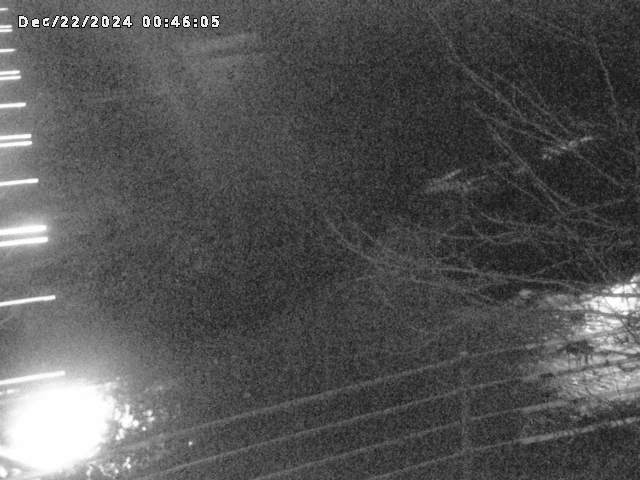 小松谷川２2025/12/22 1:00:00