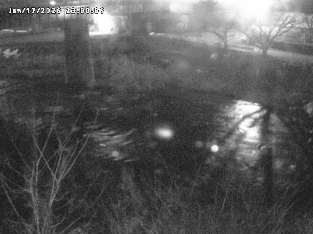 日野川１０2026/01/18 20:10:00