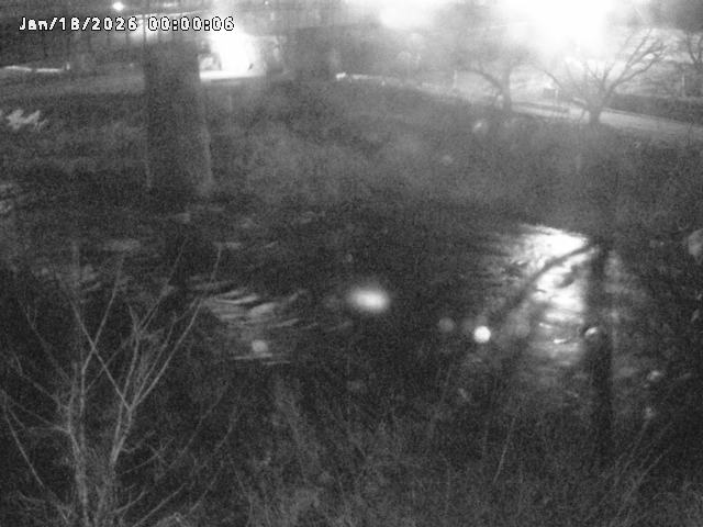 日野川１０2026/01/18 20:10:00