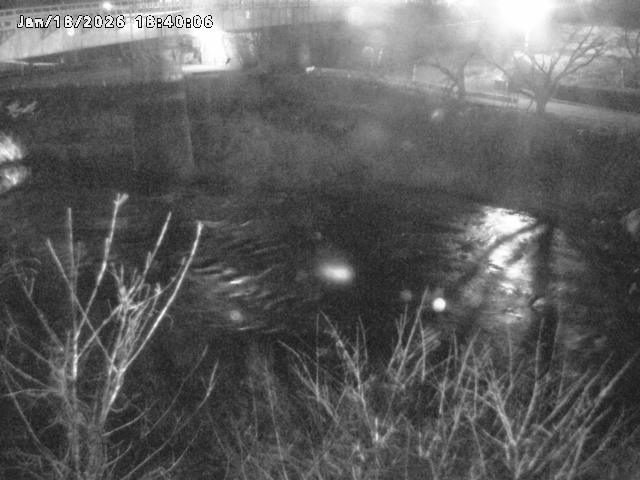日野川１０2026/01/18 20:10:00