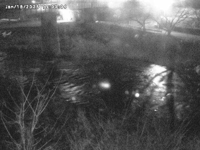 日野川１０2026/01/18 20:10:00