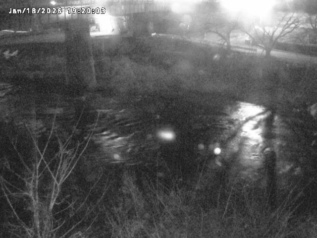 日野川１０2026/01/18 20:10:00