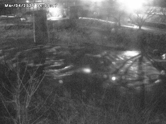 日野川１０2026/03/05 3:10:00