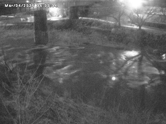 日野川１０2026/03/05 3:10:00