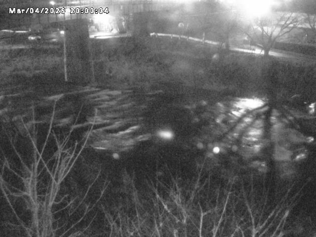 日野川１０2026/03/05 3:10:00