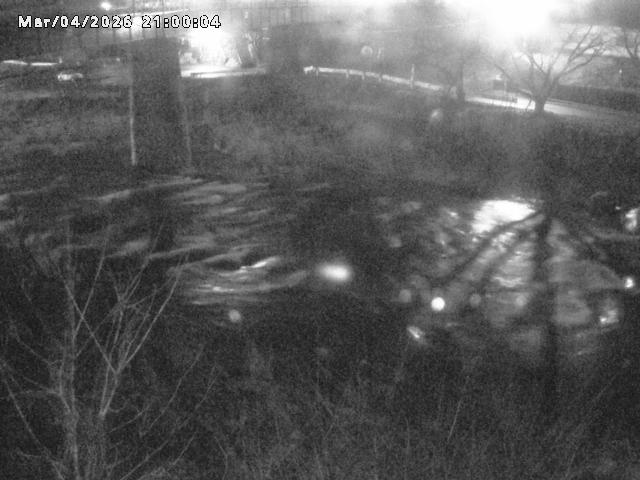 日野川１０2026/03/05 3:10:00