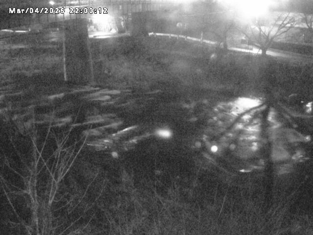 日野川１０2026/03/05 3:10:00