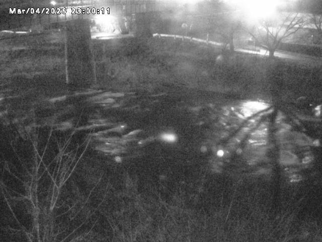 日野川１０2026/03/05 3:10:00