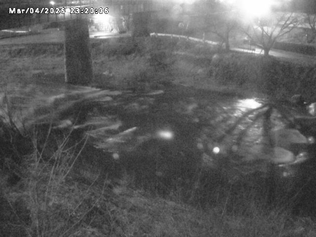 日野川１０2026/03/05 3:10:00