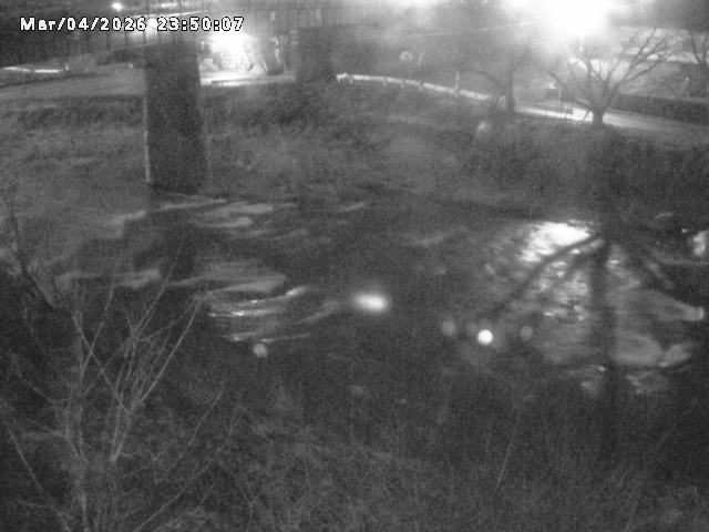 日野川１０2026/03/05 3:10:00