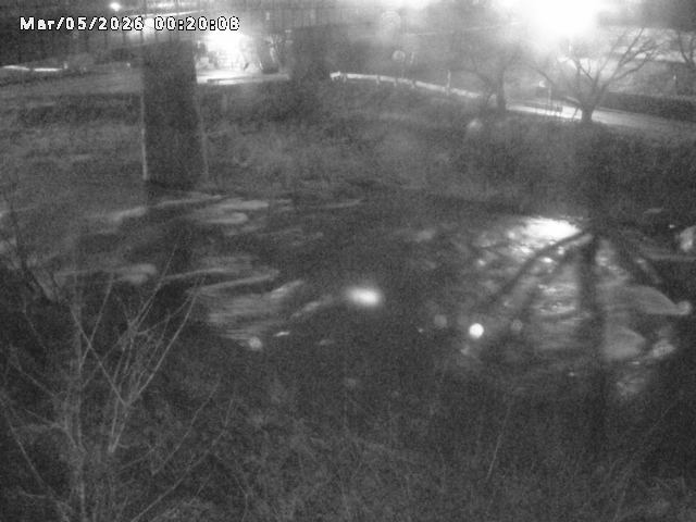 日野川１０2026/03/05 3:10:00