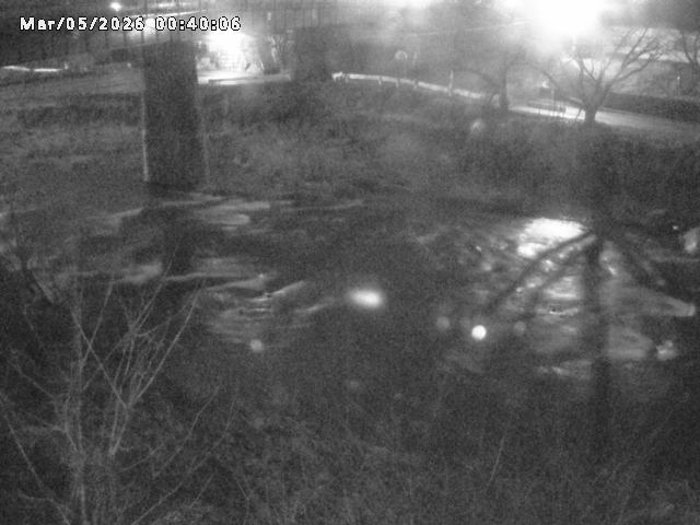 日野川１０2026/03/05 3:10:00