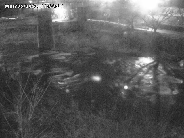 日野川１０2026/03/05 3:10:00