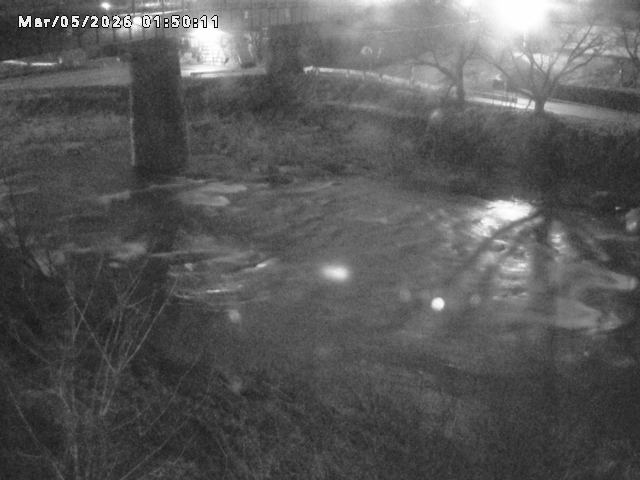 日野川１０2026/03/05 3:10:00