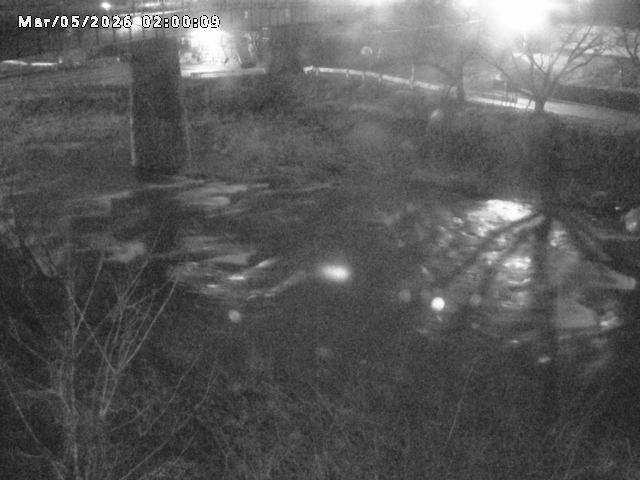 日野川１０2026/03/05 3:10:00