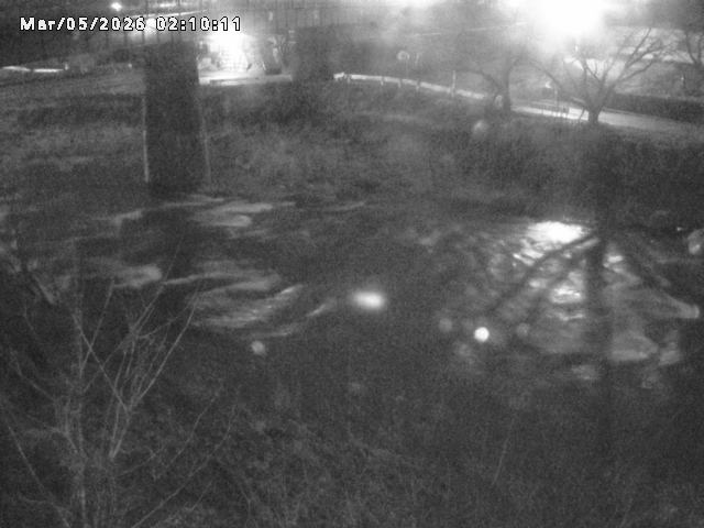 日野川１０2026/03/05 3:10:00