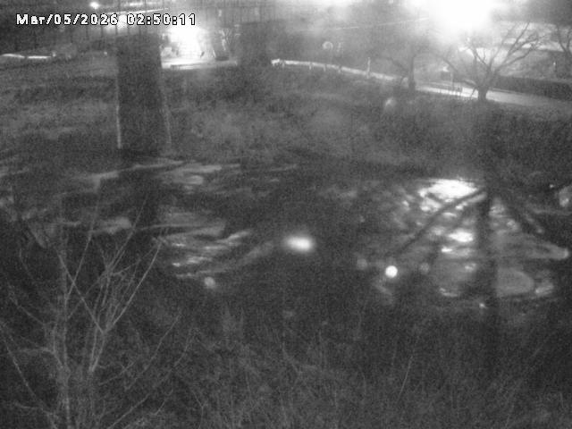 日野川１０2026/03/05 3:10:00