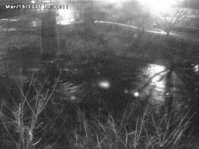 日野川１０2026/03/19 22:10:00