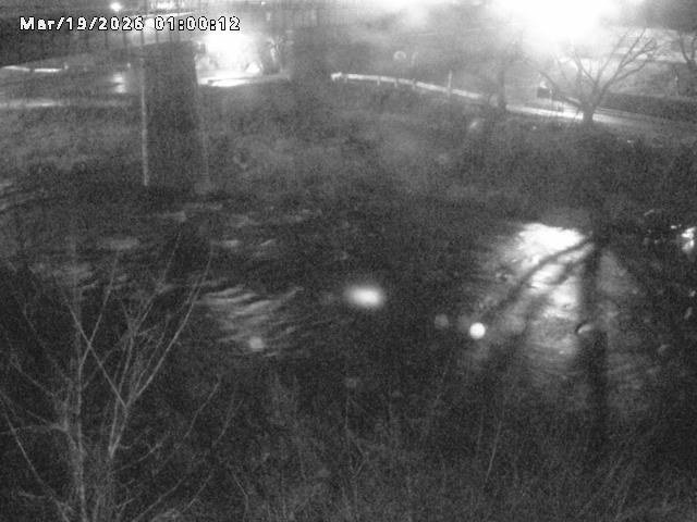 日野川１０2026/03/19 22:10:00