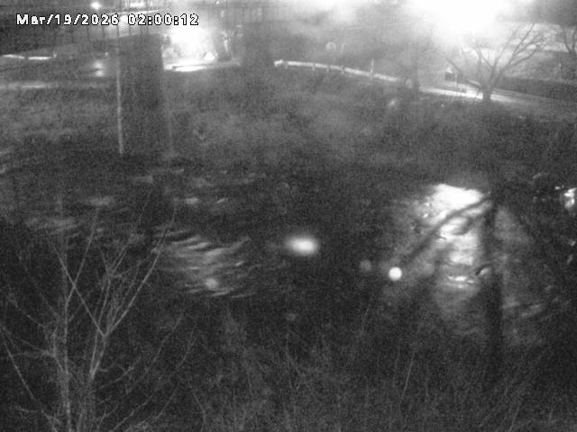 日野川１０2026/03/19 22:10:00