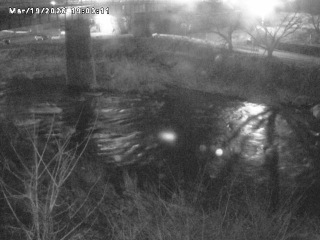 日野川１０2026/03/19 22:10:00