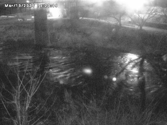 日野川１０2026/03/19 22:10:00