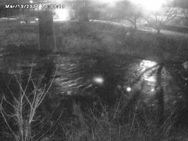 日野川１０2026/03/19 22:10:00