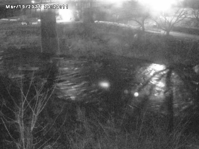 日野川１０2026/03/19 22:10:00