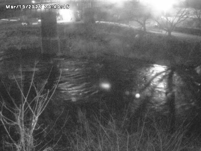 日野川１０2026/03/19 22:10:00