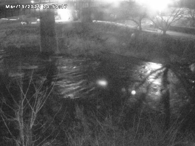 日野川１０2026/03/19 22:10:00