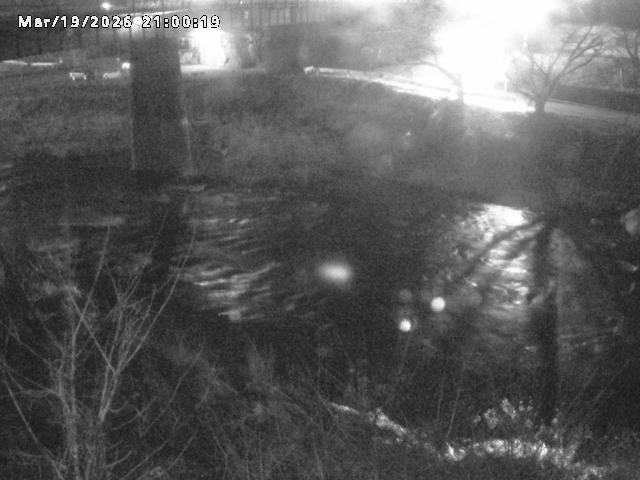 日野川１０2026/03/19 22:10:00