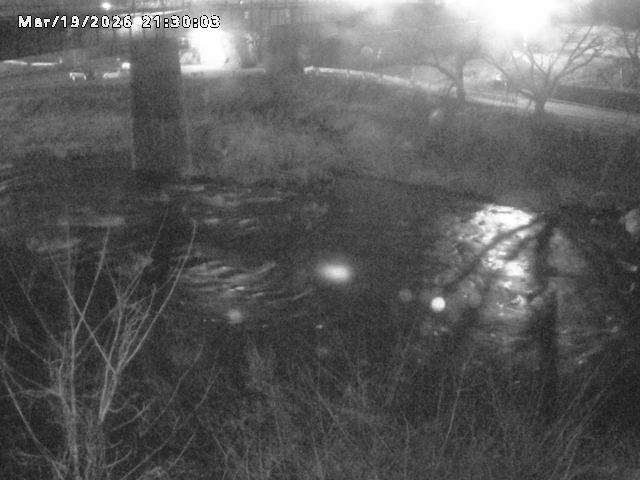 日野川１０2026/03/19 22:10:00