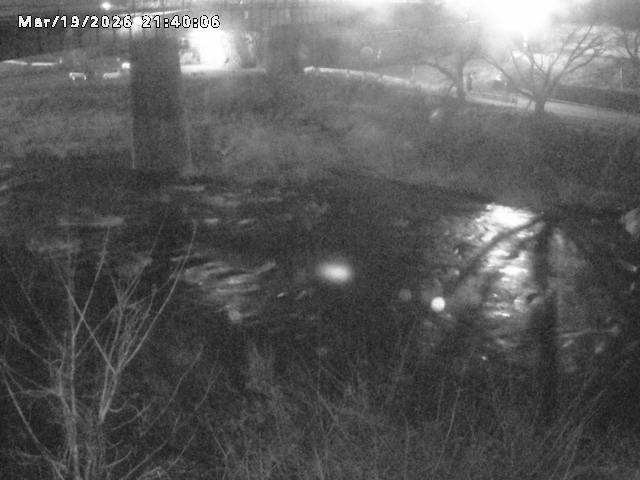 日野川１０2026/03/19 22:10:00
