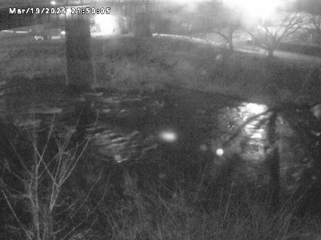 日野川１０2026/03/19 22:10:00