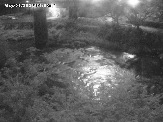 日野川１０2026/05/02 23:30:00