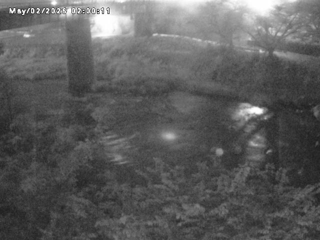 日野川１０2026/05/02 23:30:00