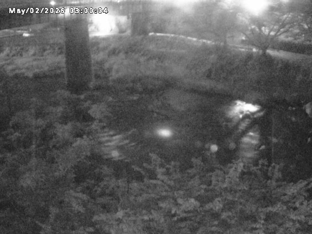 日野川１０2026/05/02 23:30:00