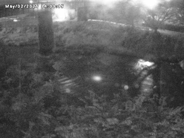 日野川１０2026/05/02 23:30:00