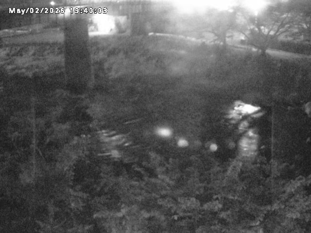 日野川１０2026/05/02 23:30:00