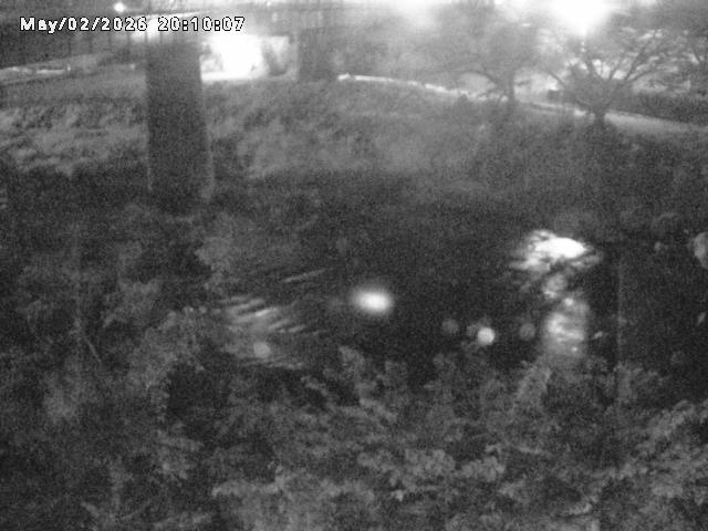 日野川１０2026/05/02 23:30:00