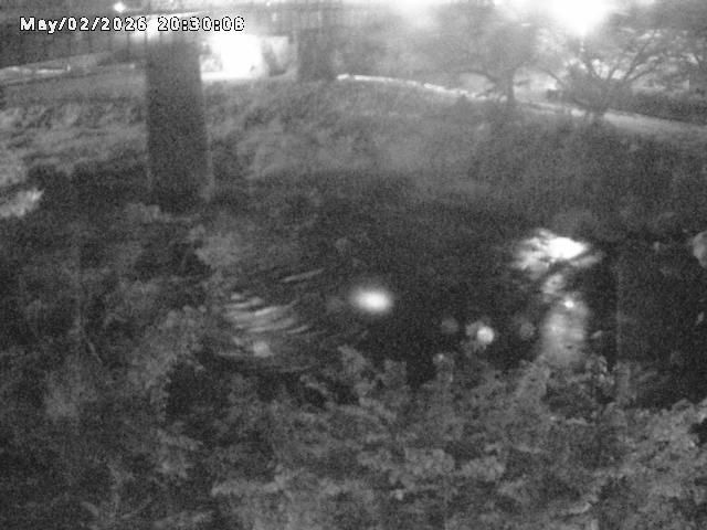 日野川１０2026/05/02 23:30:00